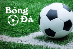 Phân Biệt Bóng Trong Cuộc Và Bóng Ngoài Cuộc