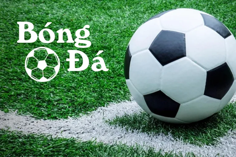 Phân Biệt Bóng Trong Cuộc Và Bóng Ngoài Cuộc