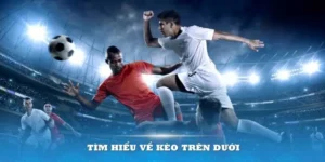 Phương Pháp Đánh Kèo Trên Kèo Dưới Tại NowGoal Dễ Dàng Thắng Lớn