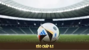 Phương Pháp Đọc Kèo Chấp 0.5 Tại NowGoal Đỉnh Cao Cho Dân Cá Cược