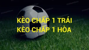 Hướng Dẫn Chi Tiết Soi Kèo Chấp 1 Trái Tại NowGoal Dành Cho Cao Thủ