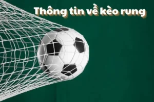 Chiến Thuật Đánh Kèo Rung Trong Bóng Đá Tại NowGoal Hiệu Quả Nhất
